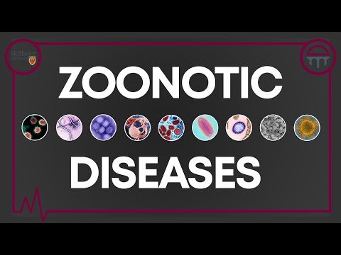 Demystifying Zoonotic Diseases